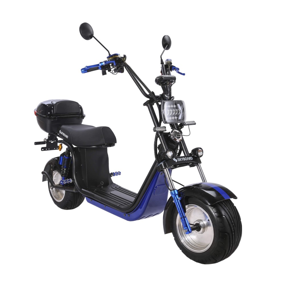 Электроскутер CityCoco Skyboard BR30-2WD (Ural) черный 4