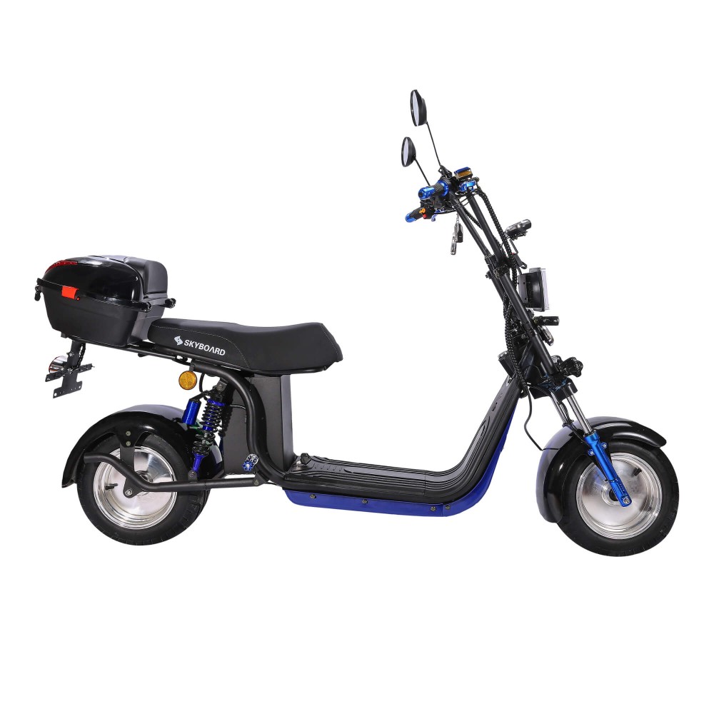Электроскутер CityCoco Skyboard BR30-2WD (Ural) черный 1