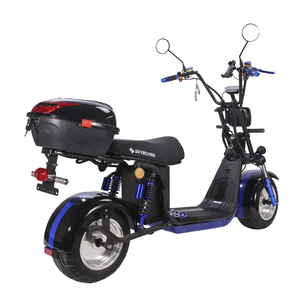 Электроскутер CityCoco Skyboard BR30-2WD (Ural) черный 5