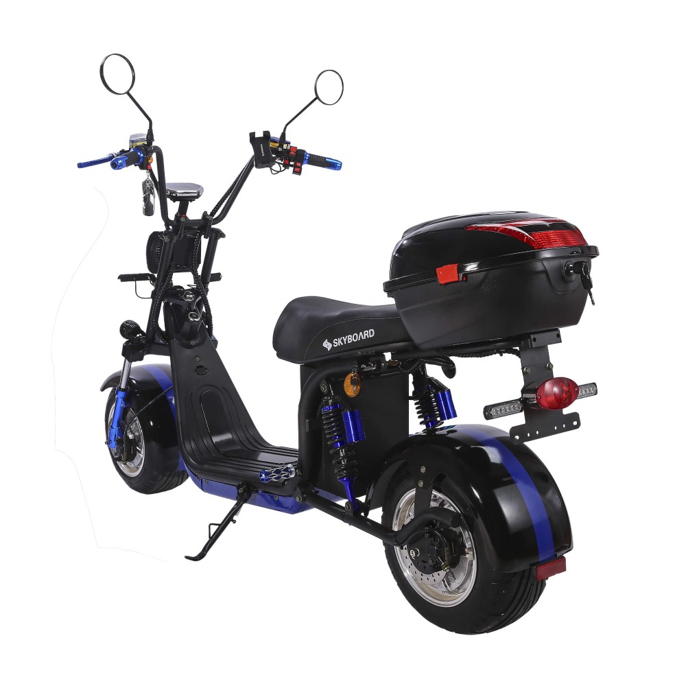 Электроскутер CityCoco Skyboard BR30-2WD (Ural) черный 3