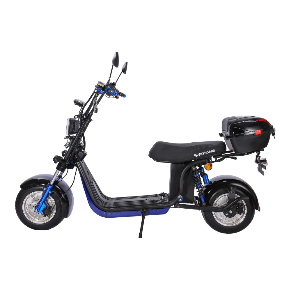 Электроскутер CityCoco Skyboard BR30-2WD (Ural) черный 6